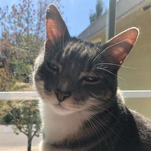 Meet your Posher, Reaghan